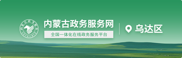 政务服务网