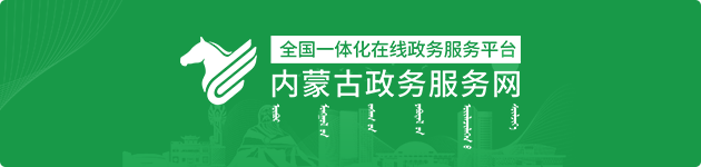政务服务网入口