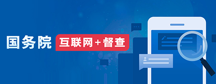 国务院互联网+督察