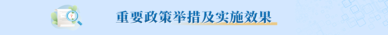 重要政策举措及实施效果