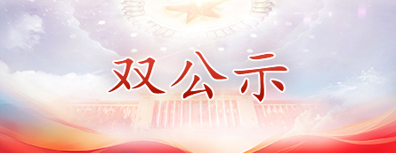 双公示