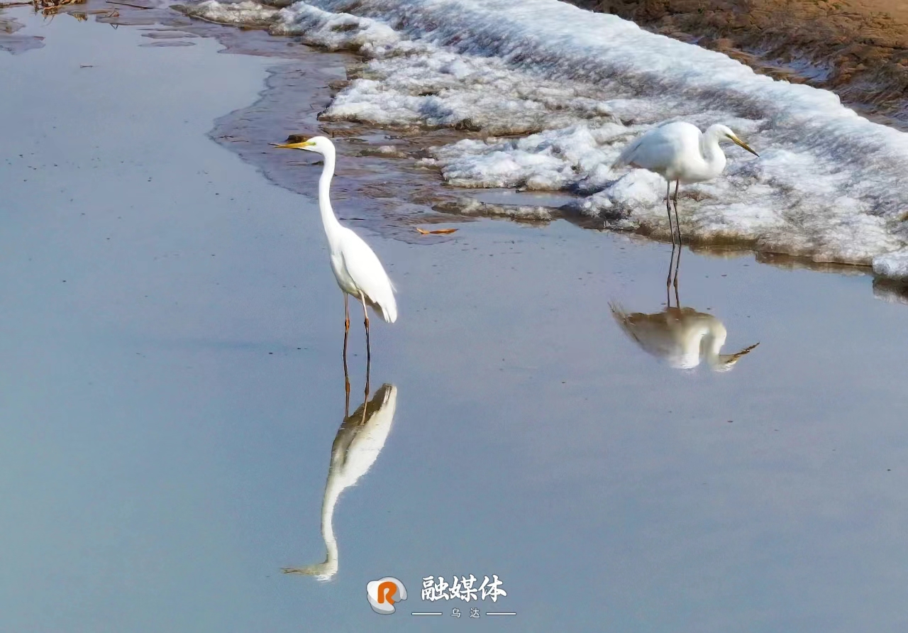 微信图片_20240918092519