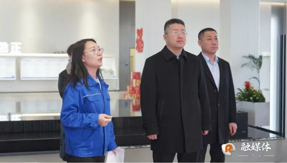 延文龙调研就业促进行动工作开展情况