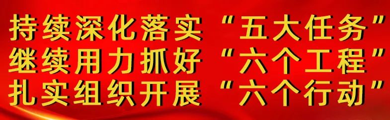 “小个专”出招，乌达包菜滞销变“热销”！
