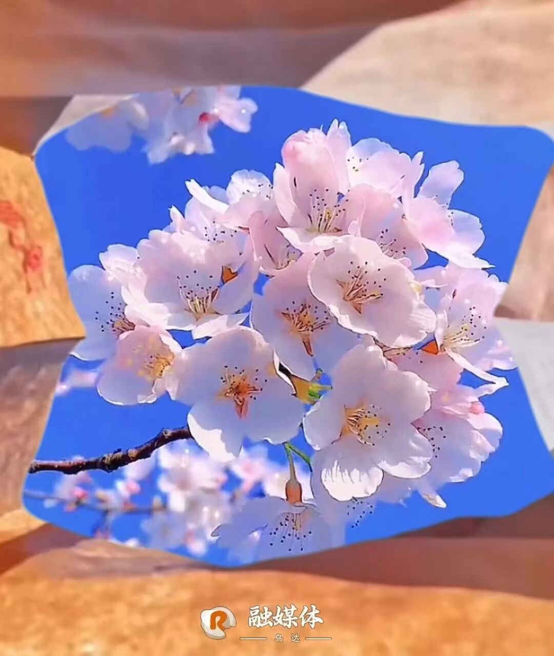 打开纸袋，接住乌达的美好→