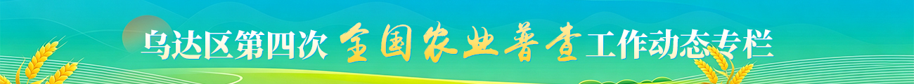 乌达区第四次全国农业普查工作动态专栏